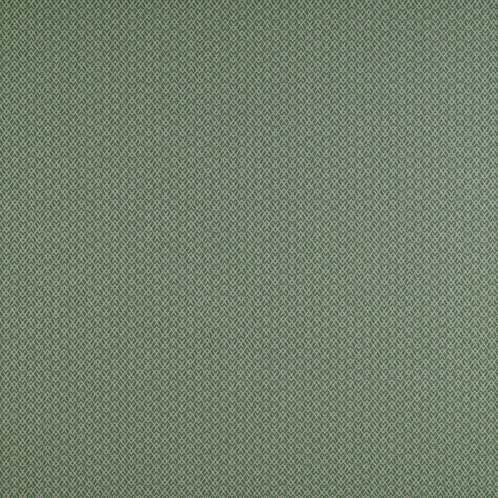Gaston Y Daniela Chueca Verde Fabric GDT5205.014.0
