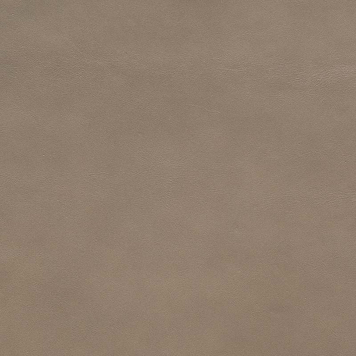 Jasper Evora Taupe Fabric J105-05