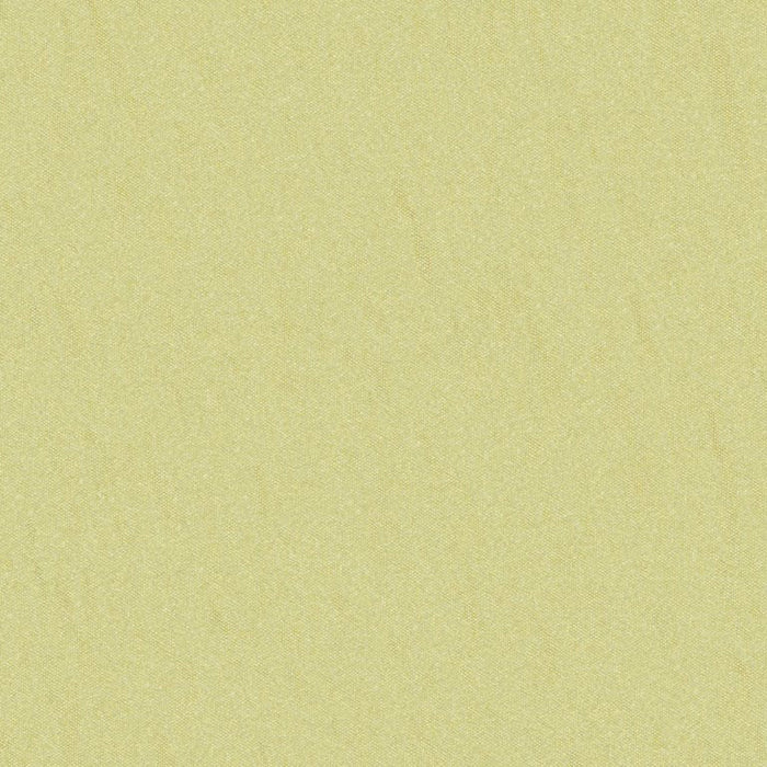 Brunschwig & Fils Shots Spanish Moss Fabric JAG-50020.3030.0