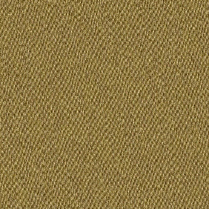 Brunschwig & Fils Shots Cuir Fabric JAG-50020.6.0