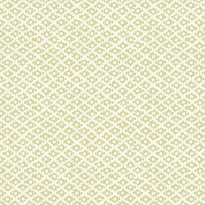 Galbraith & Paul Lattice Fennel Wallpaper