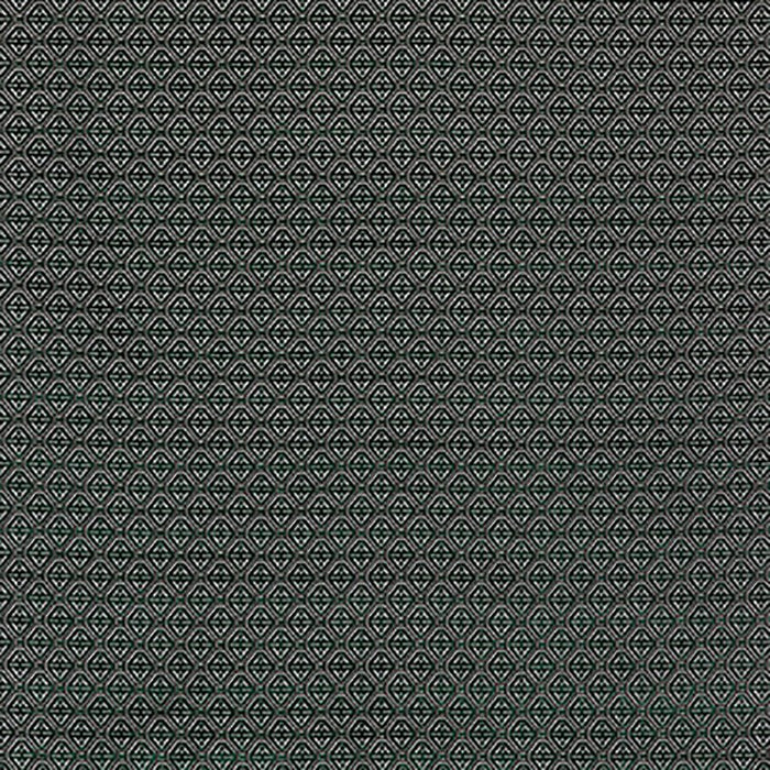 Gaston Y Daniela Calabrez Verde Fabric LCT5358.003.0