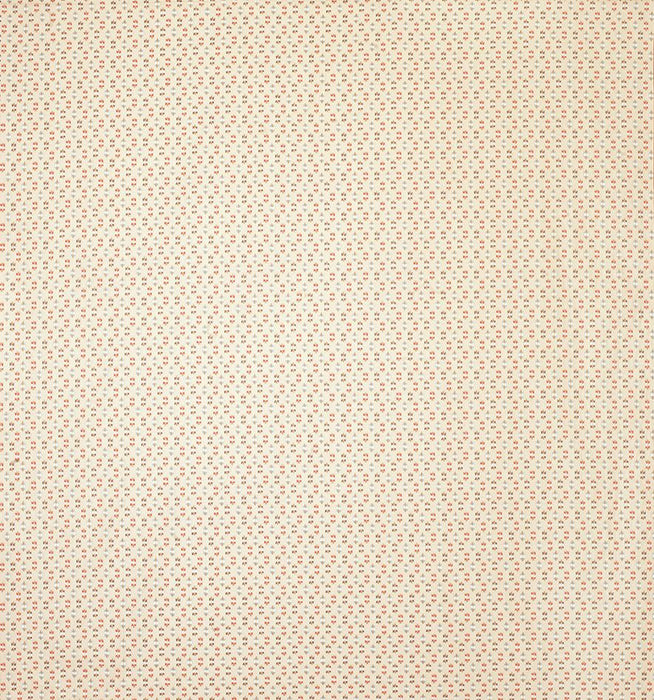 Nina Campbell Biron 2 Fabric NCF4284-02