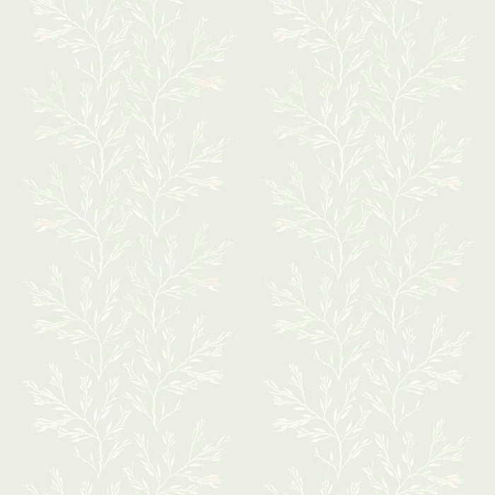 Galbraith & Paul Nori Stripe Cloud Wallpaper