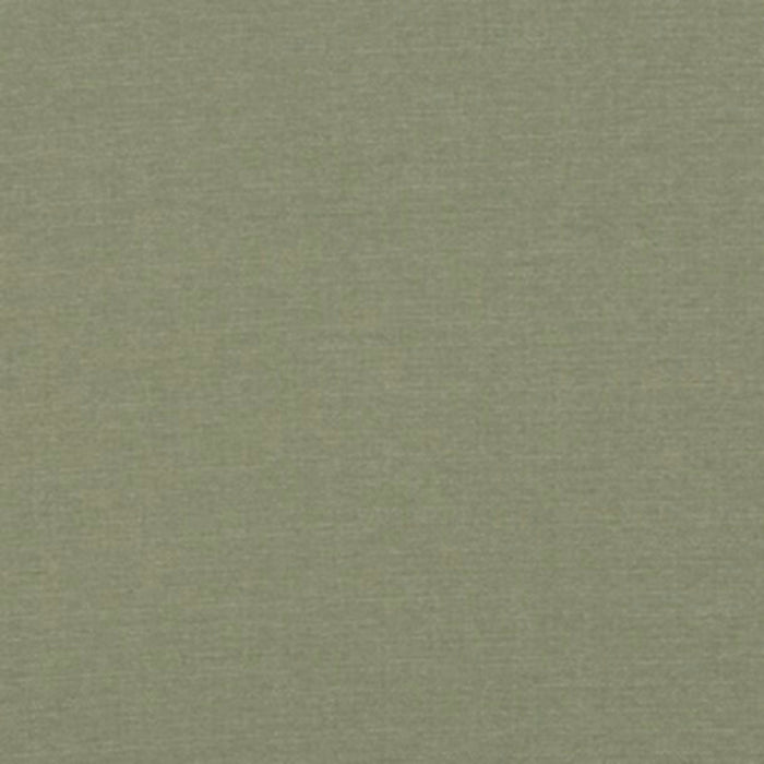 Baker Lifestyle Lansdowne Fern Fabric PF50413.775.0