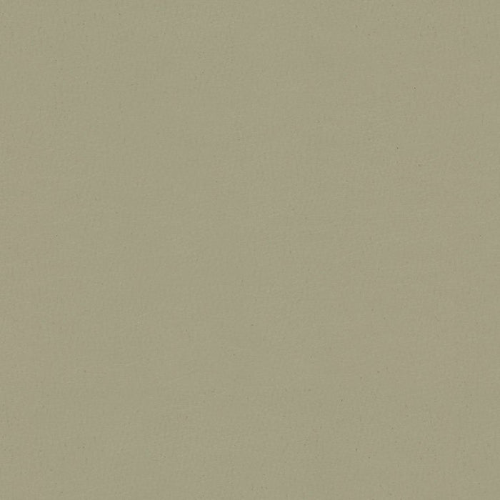 Kravet Contract Sol Nickel Fabric SOL.11.0