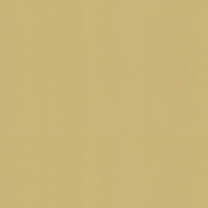 Kravet Contract Sol Canvas Fabric SOL.16.0