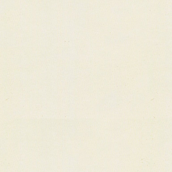 Kravet Contract Sol Cloud Fabric SOL.1.0