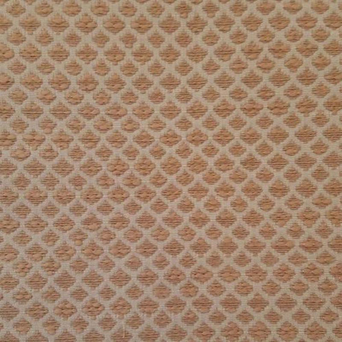Templeton Maracay Tan Fabric T1046-02