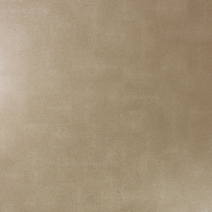 Osborne & Little Zingrina 8 Wallpaper W6582-08