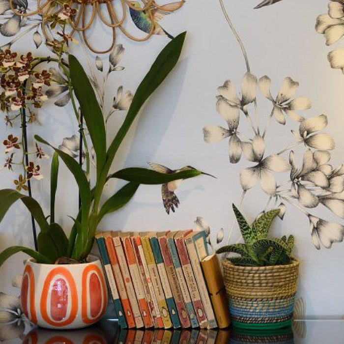 Botanicals Never Go Out of Style