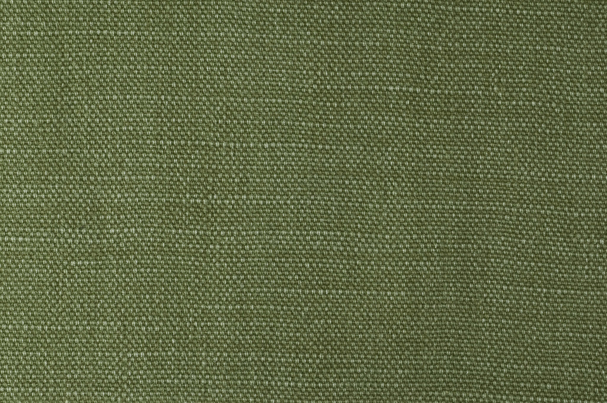 Pierre Frey Shabby Pin Fabric F2484037