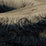 Holly Hunt Great Plains Trim Costa Natural & Indigo Trim Sample 090/02