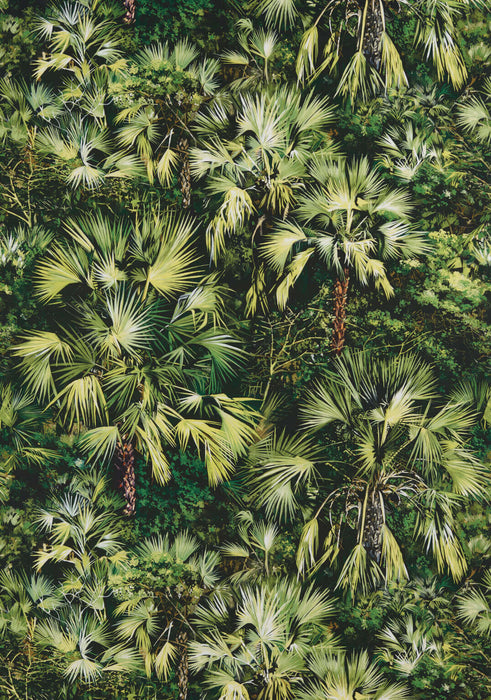 Pierre Frey Vue D'En Haut Green Fabric Sample F3204002