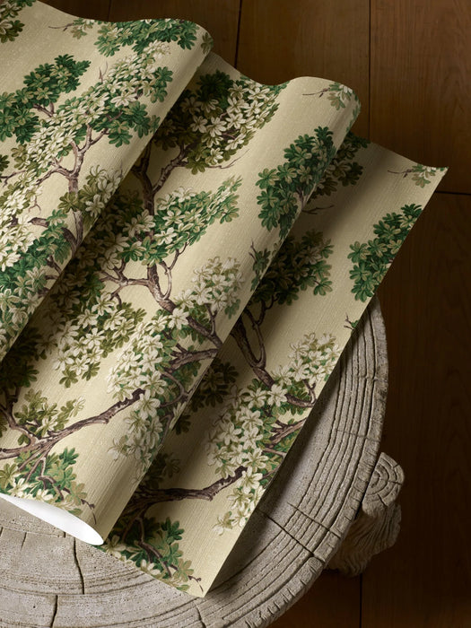 Pierre Frey Courtine Vegetal Wallpaper FP279001