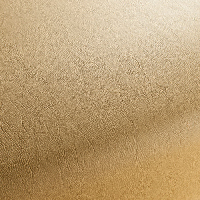 Jab Anstoetz Gaucho Vol. 2 148 Fabric 1-1142-148
