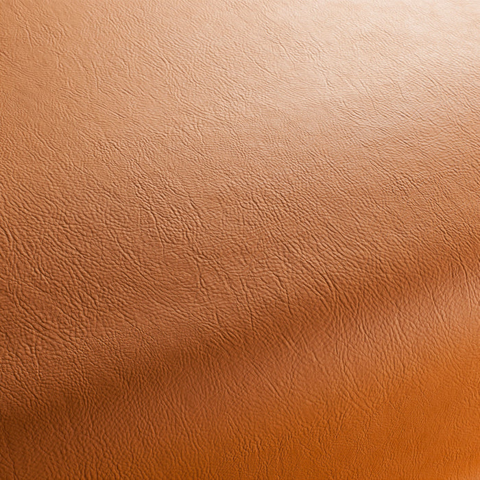 Jab Anstoetz Gaucho Vol. 2 163 Fabric 1-1142-163
