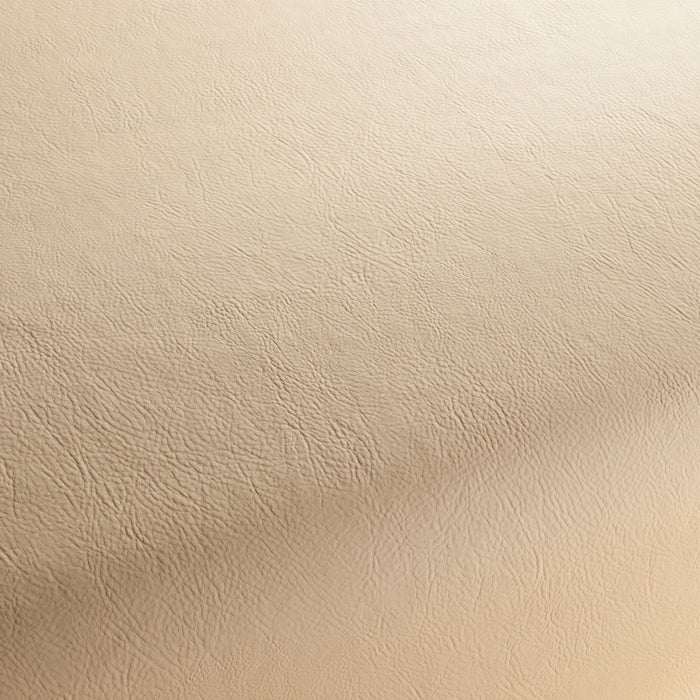 Jab Anstoetz Gaucho Vol. 2 171 Fabric 1-1142-171