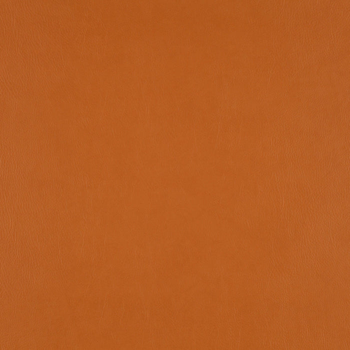 Jab Anstoetz Gaucho Vol. 2 262 Fabric 1-1142-262