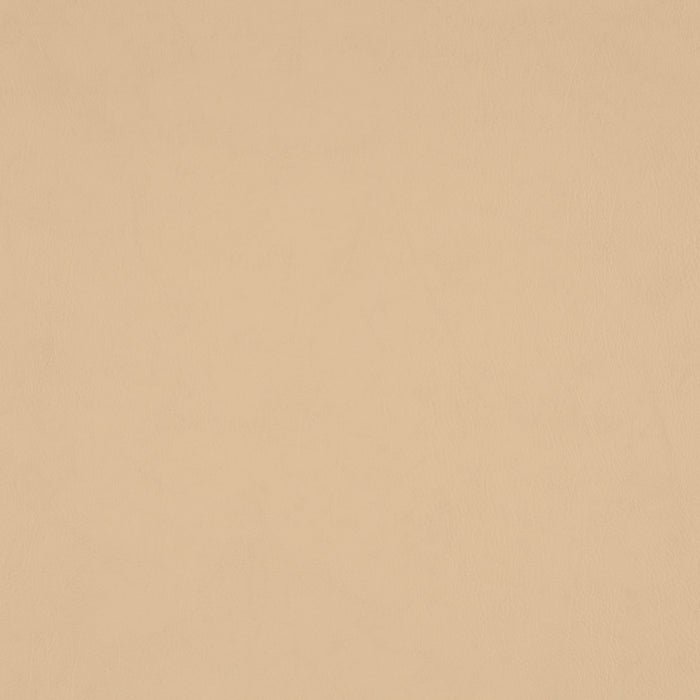 Jab Anstoetz Gaucho Vol. 2 270 Fabric Sample 1-1142-270