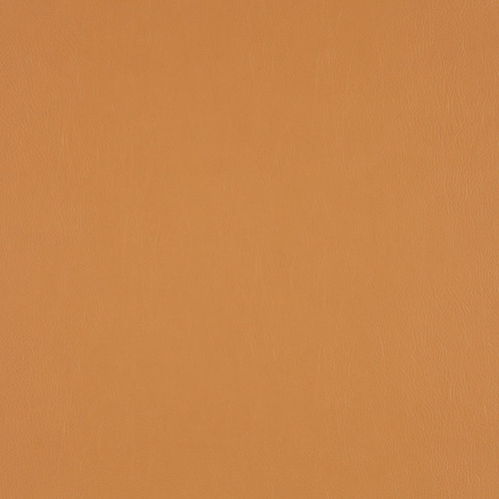 Jab Anstoetz Gaucho Vol. 2 379 Fabric 1-1142-379