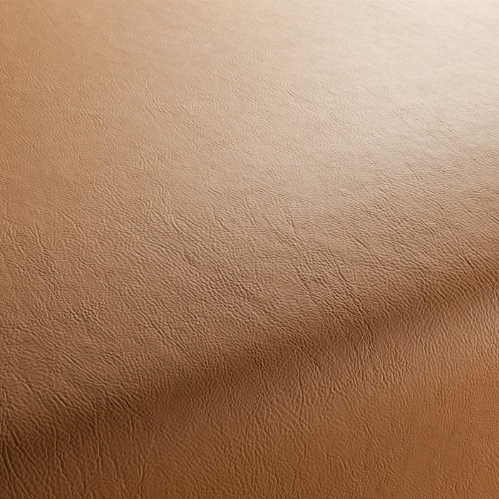 Jab Anstoetz Gaucho Vol. 2 379 Fabric 1-1142-379