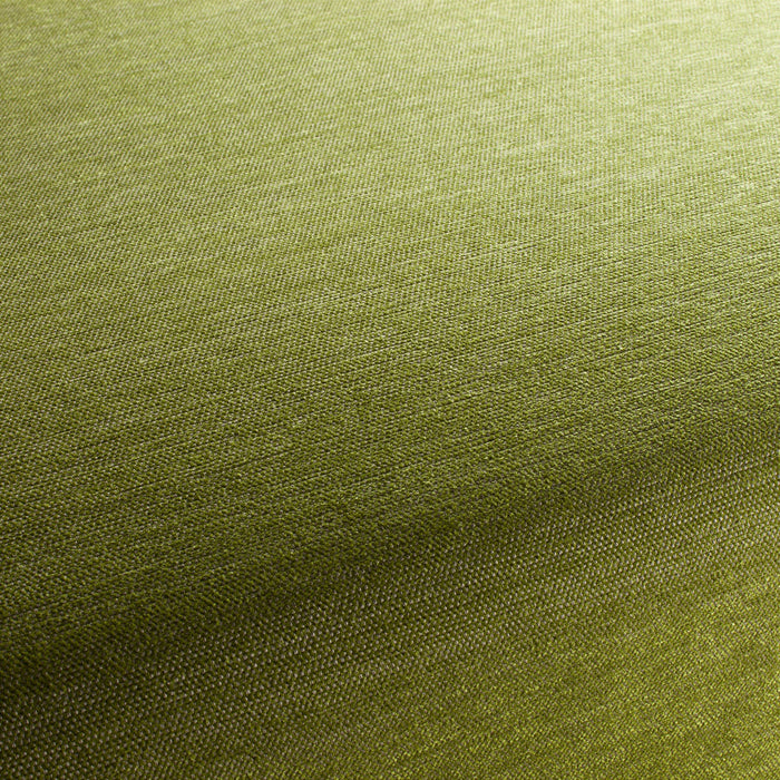 Jab Anstoetz Unito Vol. 2 036 Fabric Sample 1-1209-036