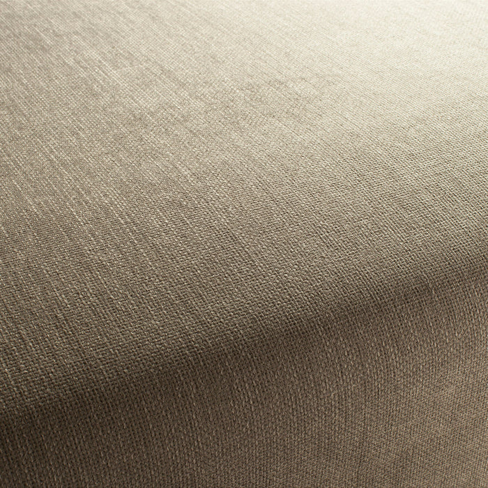 Jab Anstoetz Toro Vol. 3 021 Fabric Sample 1-1243-021