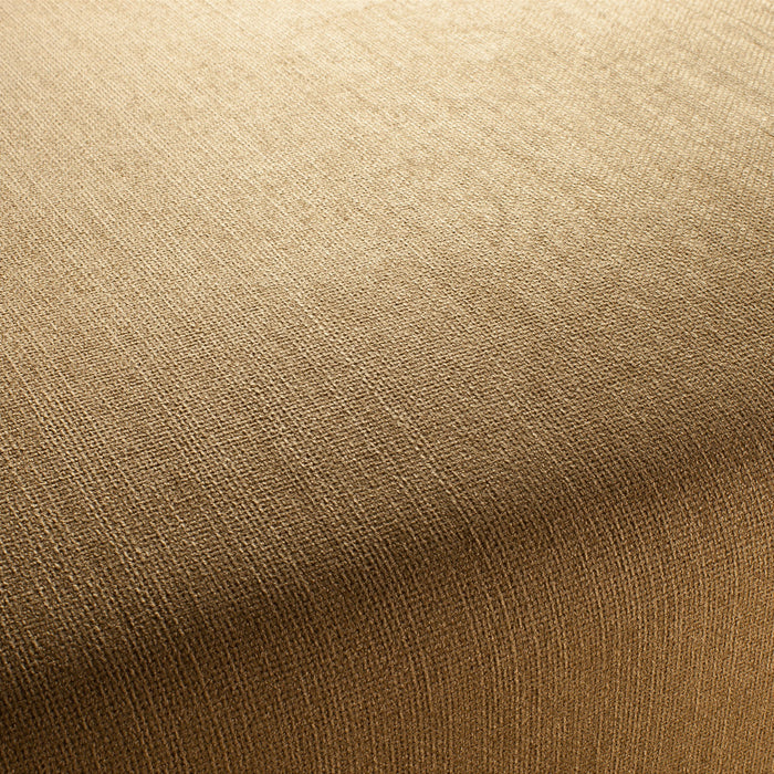 Jab Anstoetz Toro Vol. 3 022 Fabric Sample 1-1243-022
