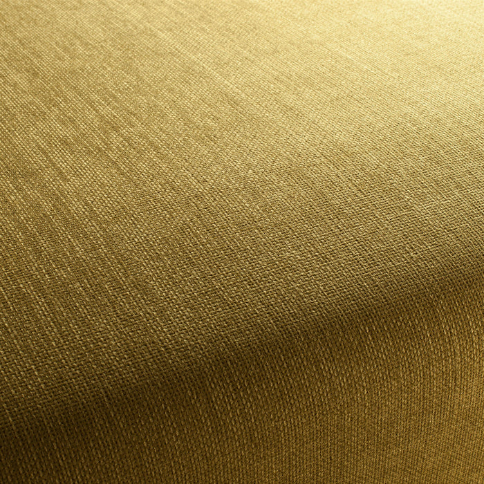 Jab Anstoetz Toro Vol. 3 033 Fabric Sample 1-1243-033