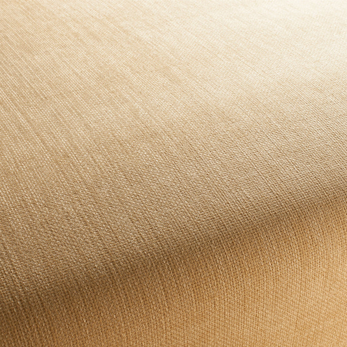Jab Anstoetz Toro Vol. 3 040 Fabric 1-1243-040