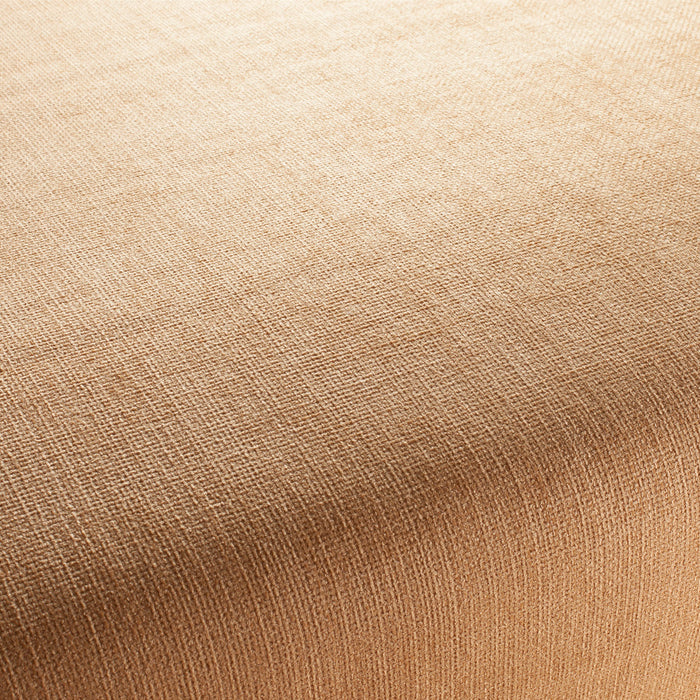 Jab Anstoetz Toro Vol. 3 041 Fabric Sample 1-1243-041