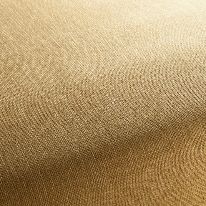 Jab Anstoetz Toro Vol. 3 042 Fabric 1-1243-042