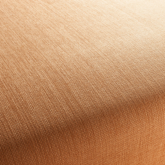 Jab Anstoetz Toro Vol. 3 060 Fabric 1-1243-060