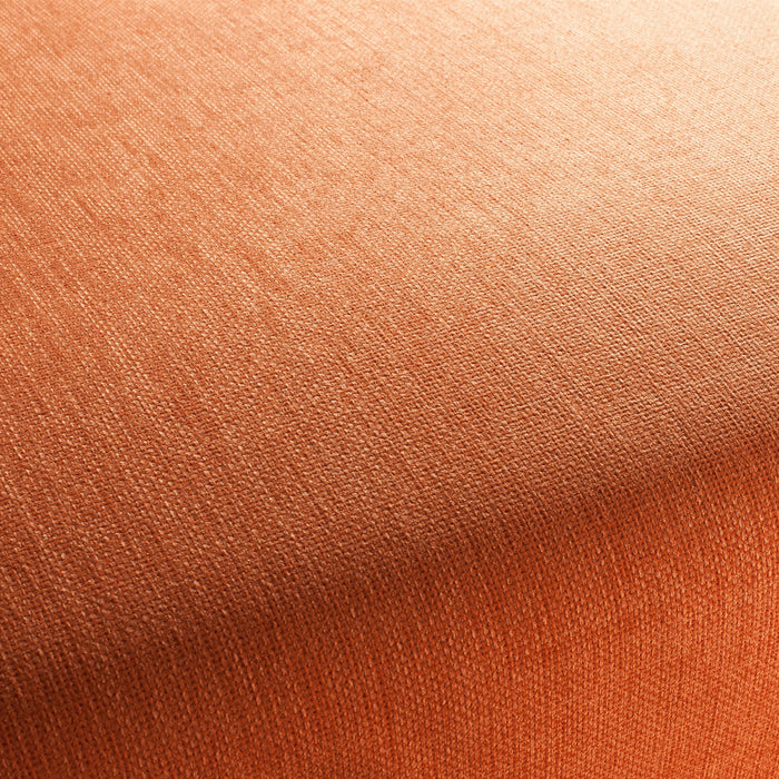 Jab Anstoetz Toro Vol. 3 061 Fabric 1-1243-061