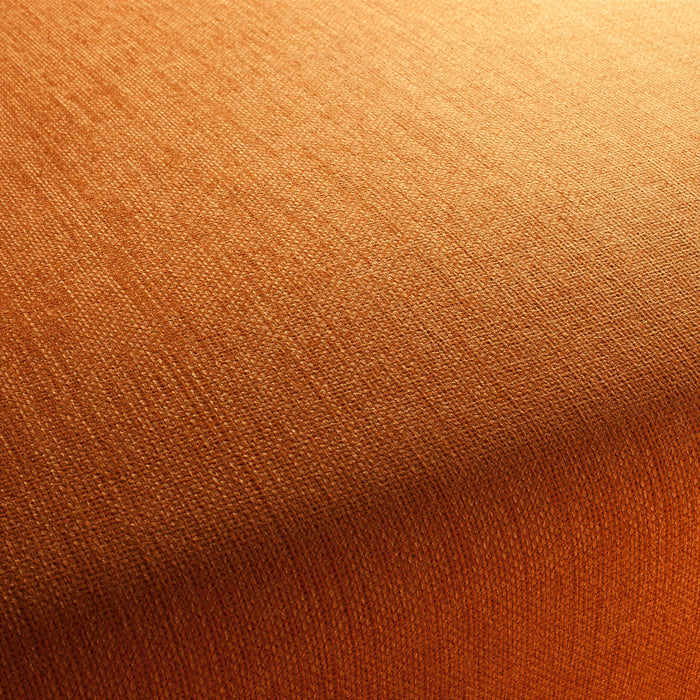 Jab Anstoetz Toro Vol. 3 062 Fabric 1-1243-062