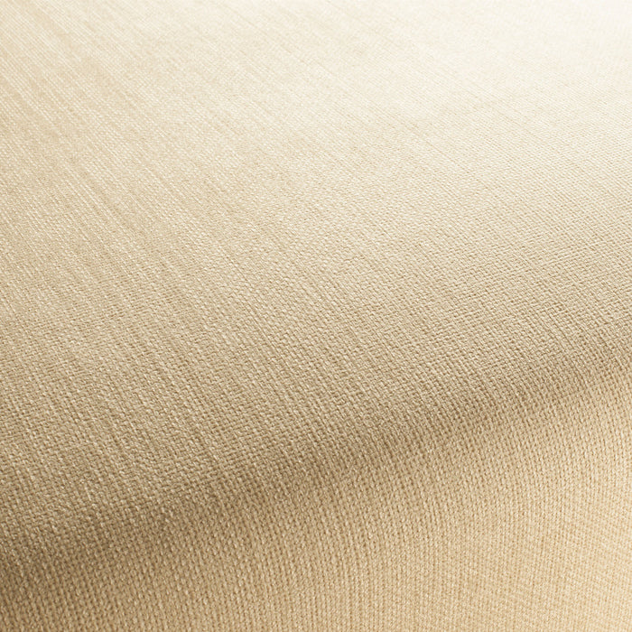 Jab Anstoetz Toro Vol. 3 073 Fabric 1-1243-073