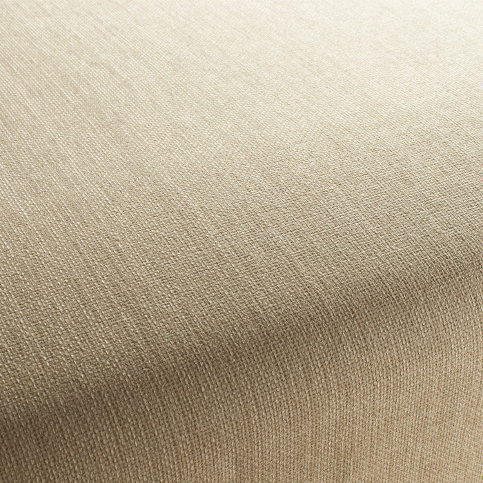 Jab Anstoetz Toro Vol. 3 076 Fabric Sample 1-1243-076