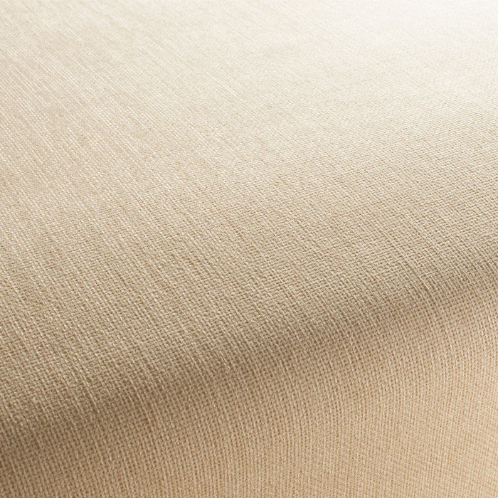 Jab Anstoetz Toro Vol. 3 077 Fabric Sample 1-1243-077