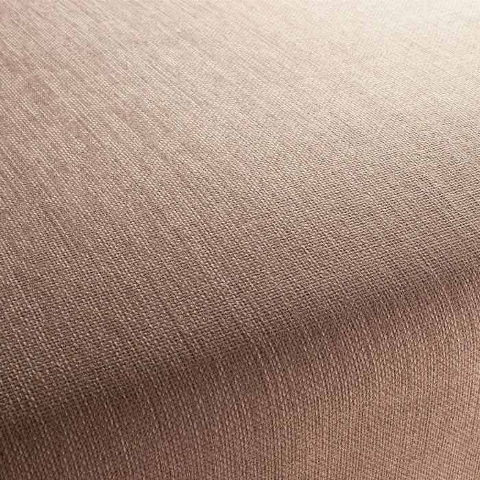 Jab Anstoetz Toro Vol. 3 079 Fabric Sample 1-1243-079