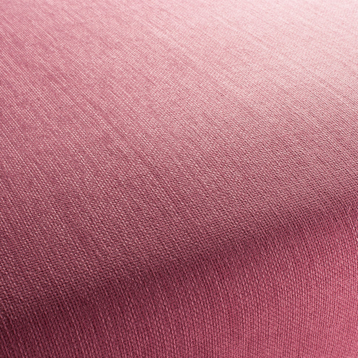 Jab Anstoetz Toro Vol. 3 160 Fabric 1-1243-160
