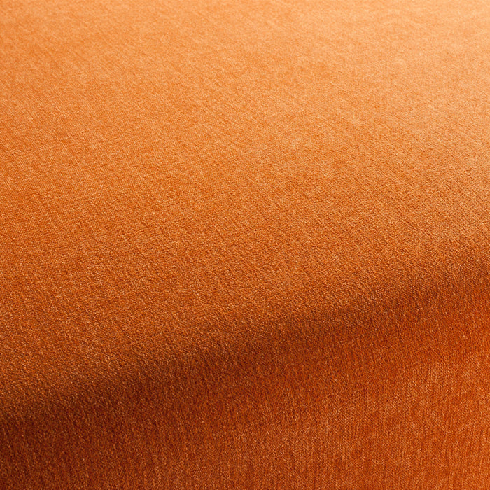 Jab Anstoetz Chenillo 064 Fabric Sample 1-1281-064