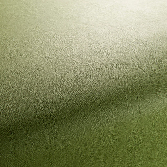 Jab Anstoetz Gaucho Vol. 2 030 Fabric 1-1311-030