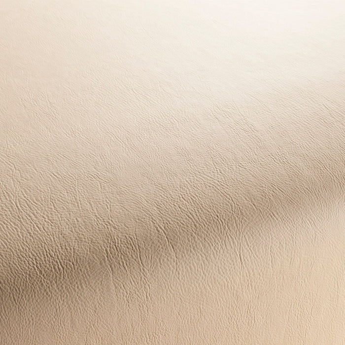 Jab Anstoetz Gaucho Vol. 2 071 Fabric 1-1311-071