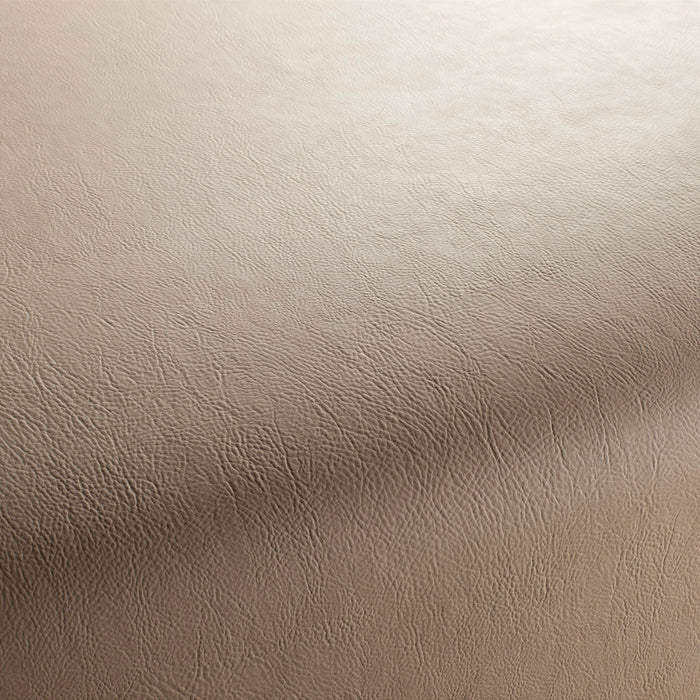 Jab Anstoetz Gaucho Vol. 2 074 Fabric 1-1311-074