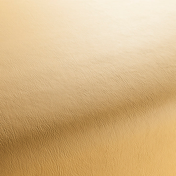 Jab Anstoetz Gaucho Vol. 2 148 Fabric 1-1311-148