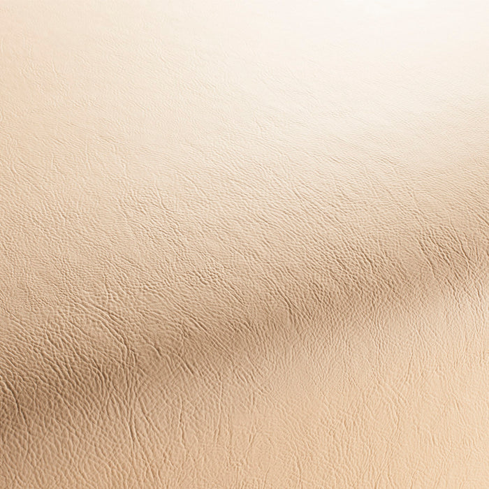 Jab Anstoetz Gaucho Vol. 2 171 Fabric 1-1311-171