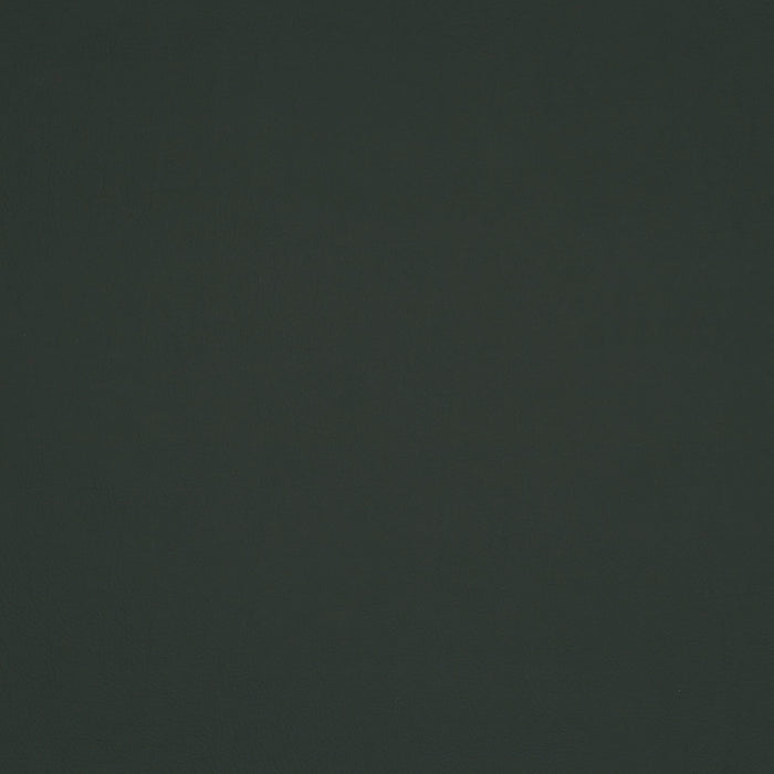 Jab Anstoetz Gaucho Vol. 2 239 Fabric 1-1311-239