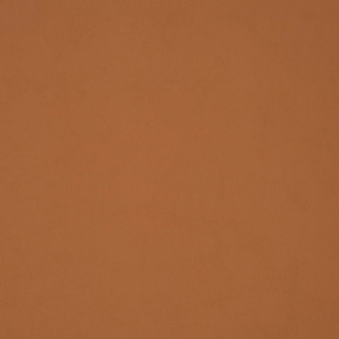 Jab Anstoetz Gaucho Vol. 2 262 Fabric 1-1311-262