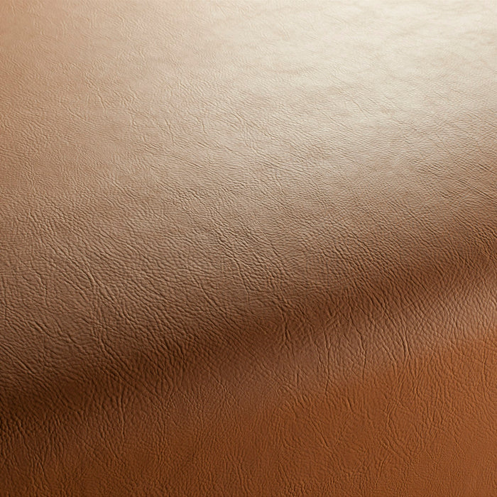 Jab Anstoetz Gaucho Vol. 2 262 Fabric 1-1311-262